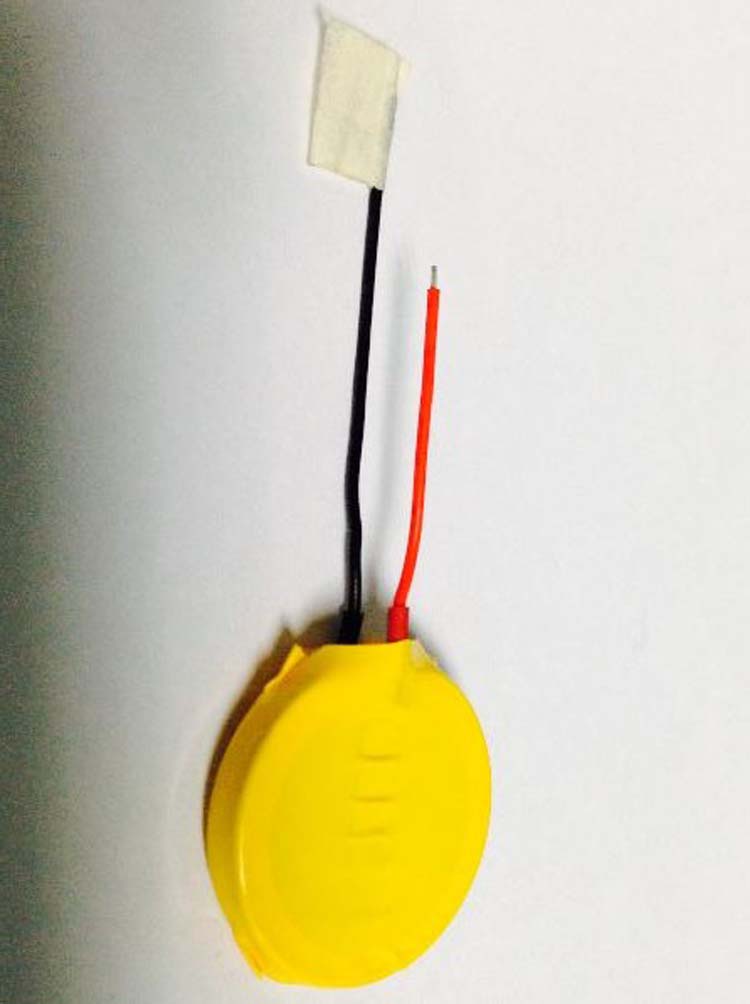 POS機用紐扣電池CR2450扣式鋰電池